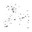 Abb1_Gesamtes-Netzwerk_Gephi.png