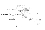 Abb4_Netzwerk-ab-1525-05-06_Gephi.png