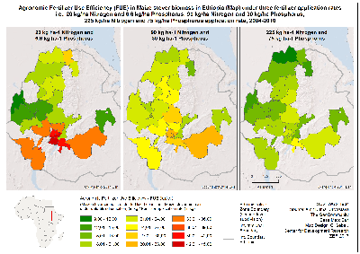 Agronomic_Fertilizer_Use_Efficiency_FUE_in_Maize_stover_biomass_in_Ethiopia_300dpi.png