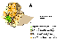 Business_area_Ethiopia_thumb.jpg