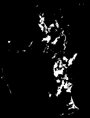 chpa_370_2081_tp_mean.tif