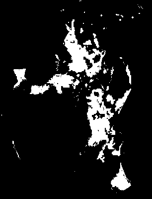 chpa_585_2041_mtss_mean.tif