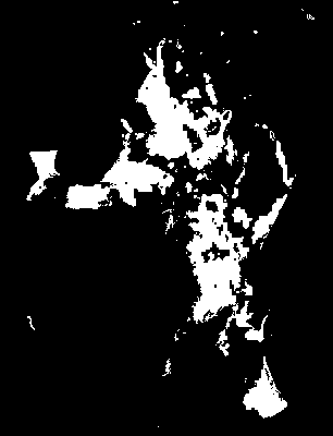 chpa_245_2041_mtss_lower.tif