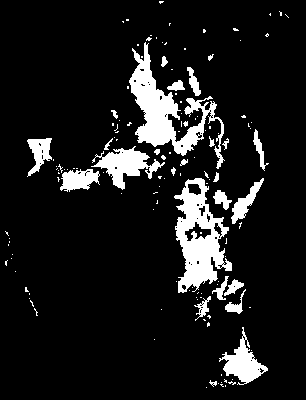 chpa_370_2041_etss_lower.tif