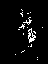 bufu_126_2041_etss_lower.tif