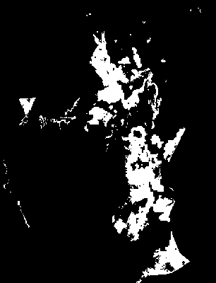 chpa_370_2081_mtss_mean.tif