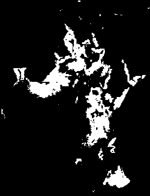 chpa_current_mtss_upper.tif