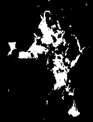chpa_126_2081_mtss_lower.tif