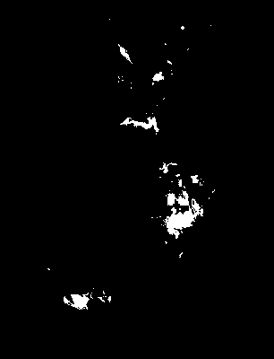 seca_370_2081_tp_mean.tif