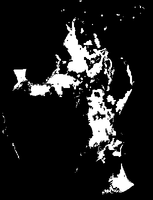 chpa_370_2041_mtss_lower.tif