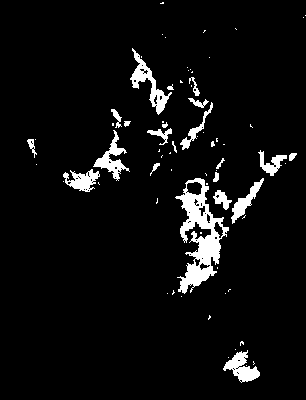 chpa_current_tp_mean.tif