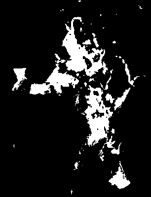 chpa_126_2041_mtss_mean.tif