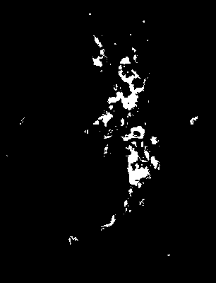 bufu_245_2081_etss_upper.tif