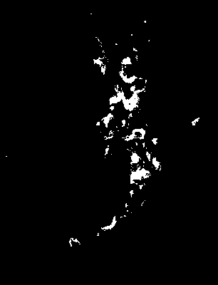 bufu_370_2081_etss_lower.tif