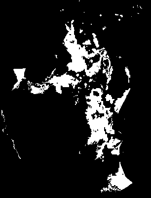 chpa_245_2081_mtss_mean.tif