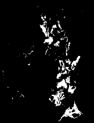 chpa_585_2081_tp_mean.tif
