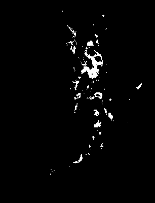 bufu_585_2081_mtss_lower.tif