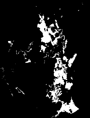 chpa_585_2081_etss_lower.tif