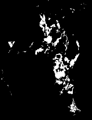 chpa_245_2081_tp_mean.tif