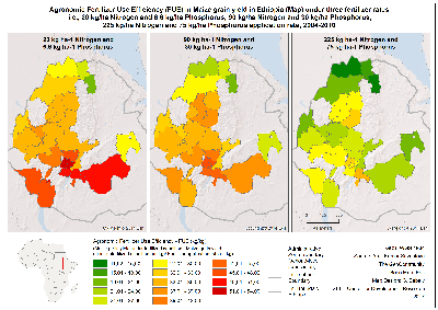 Agronomic Fertilizer Use Efficiency (FUE) in Maize grain yield in Ethiopia_300dpi.png
